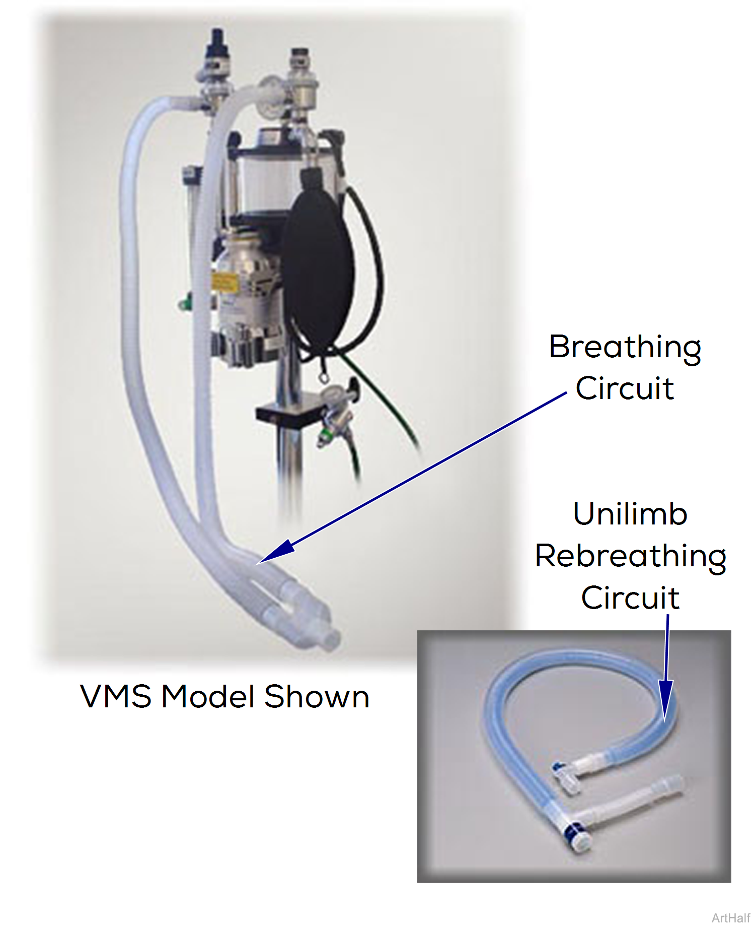 Anesthesia Rebreathing Circuit