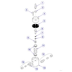 Asepsis 21 Delivery Unit Water Valve Assembly