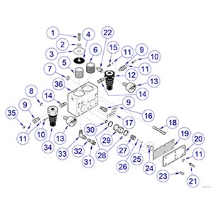 Asepsis 21® Delivery Valve Block Assembly